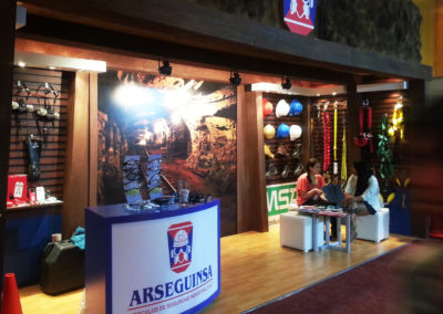 arseguinsa