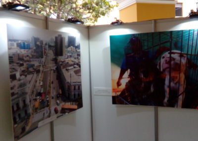 municipalidad Lima (3)