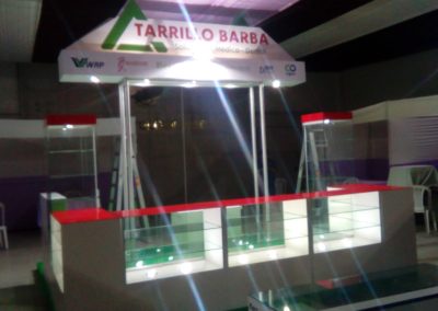 tarrillo barba (5)